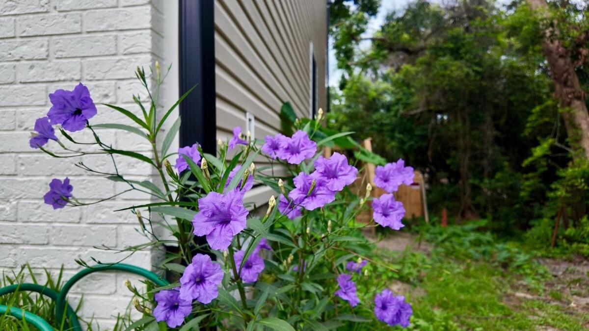Cozy Townhome Retreat With King Bed Near I-10, Capitol, Fsu & Famu Tallahassee Exterior photo